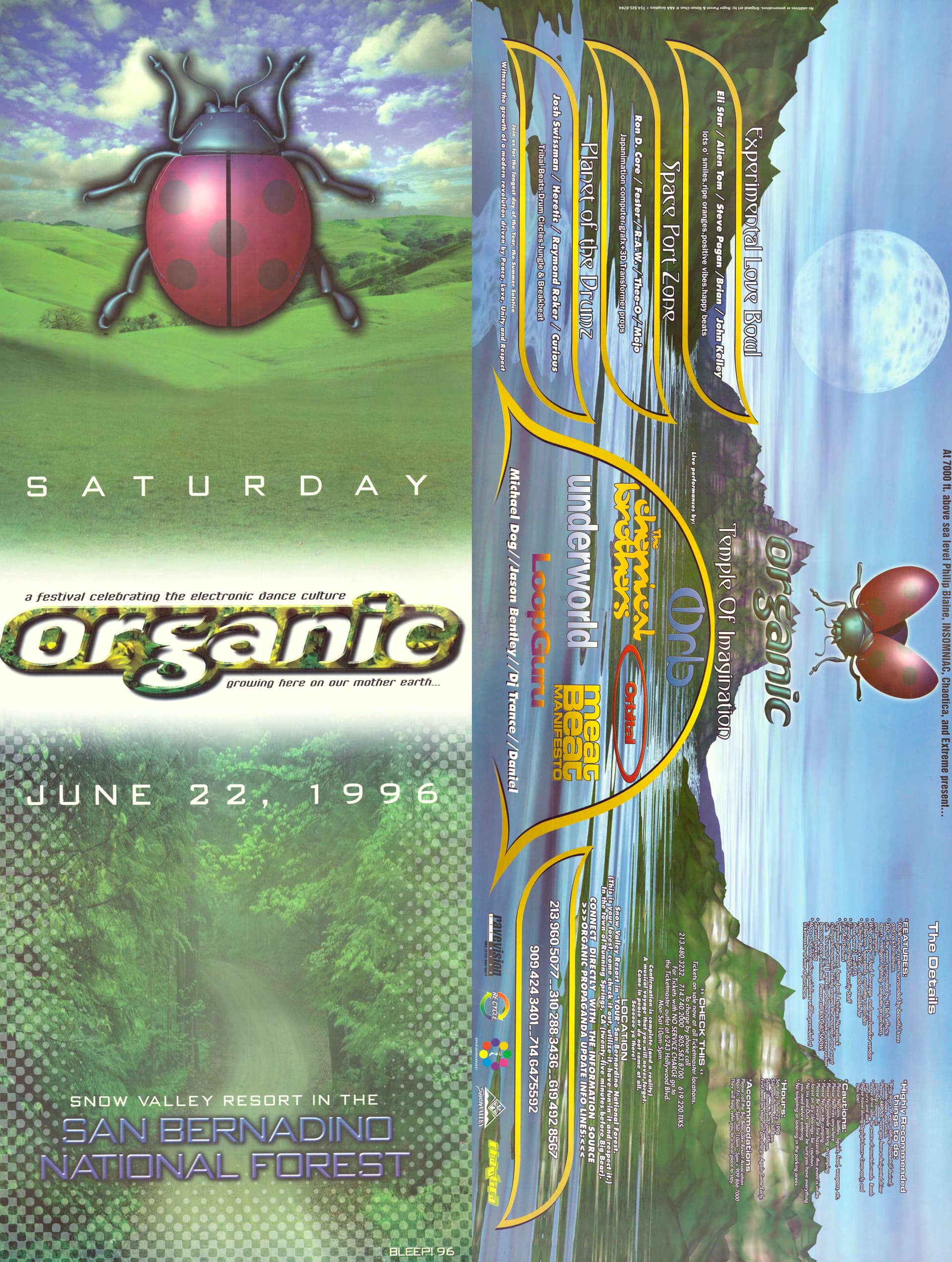 Organic-96-Festival-Flyer