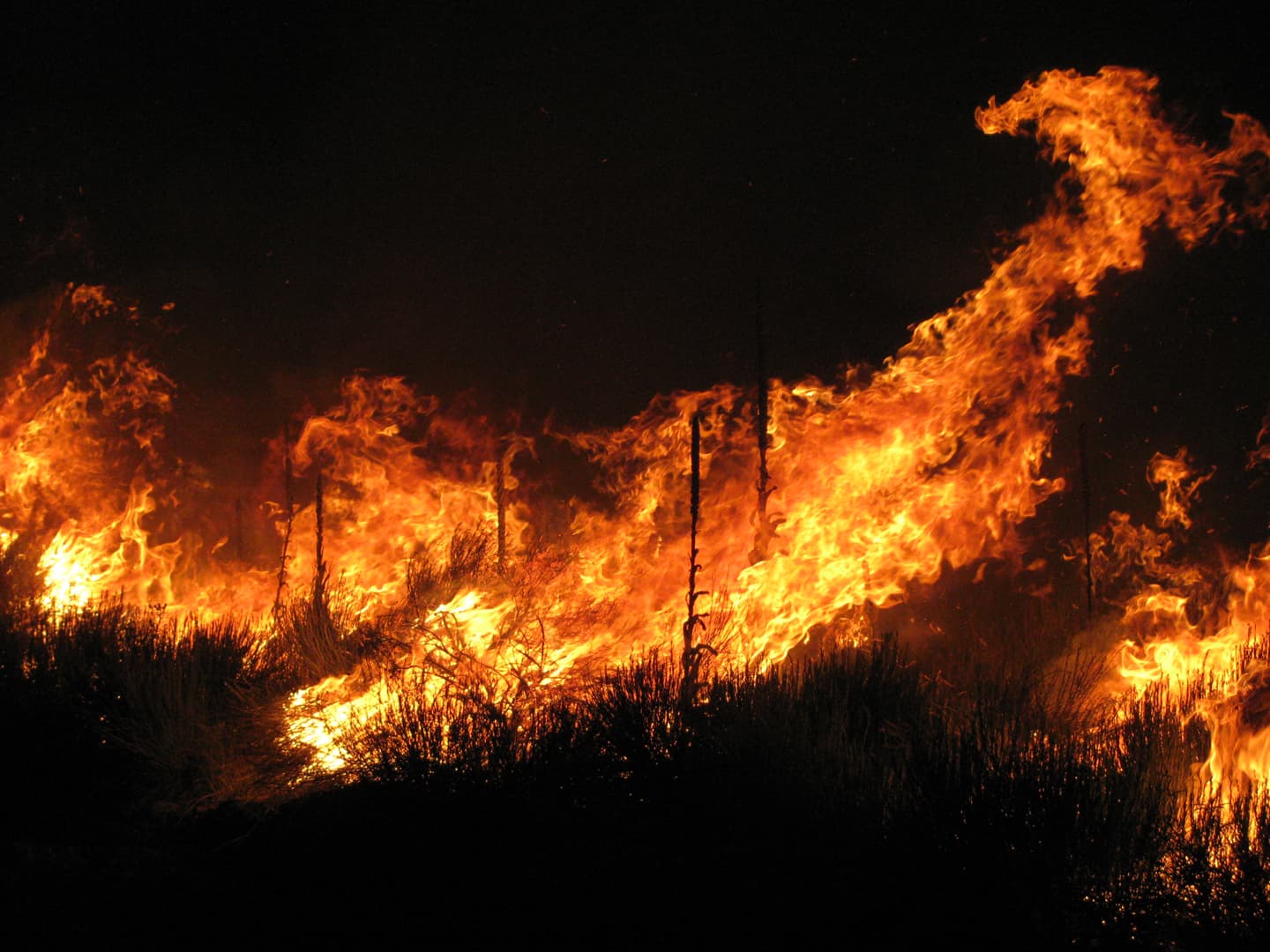 Wild Horse Fire 2009