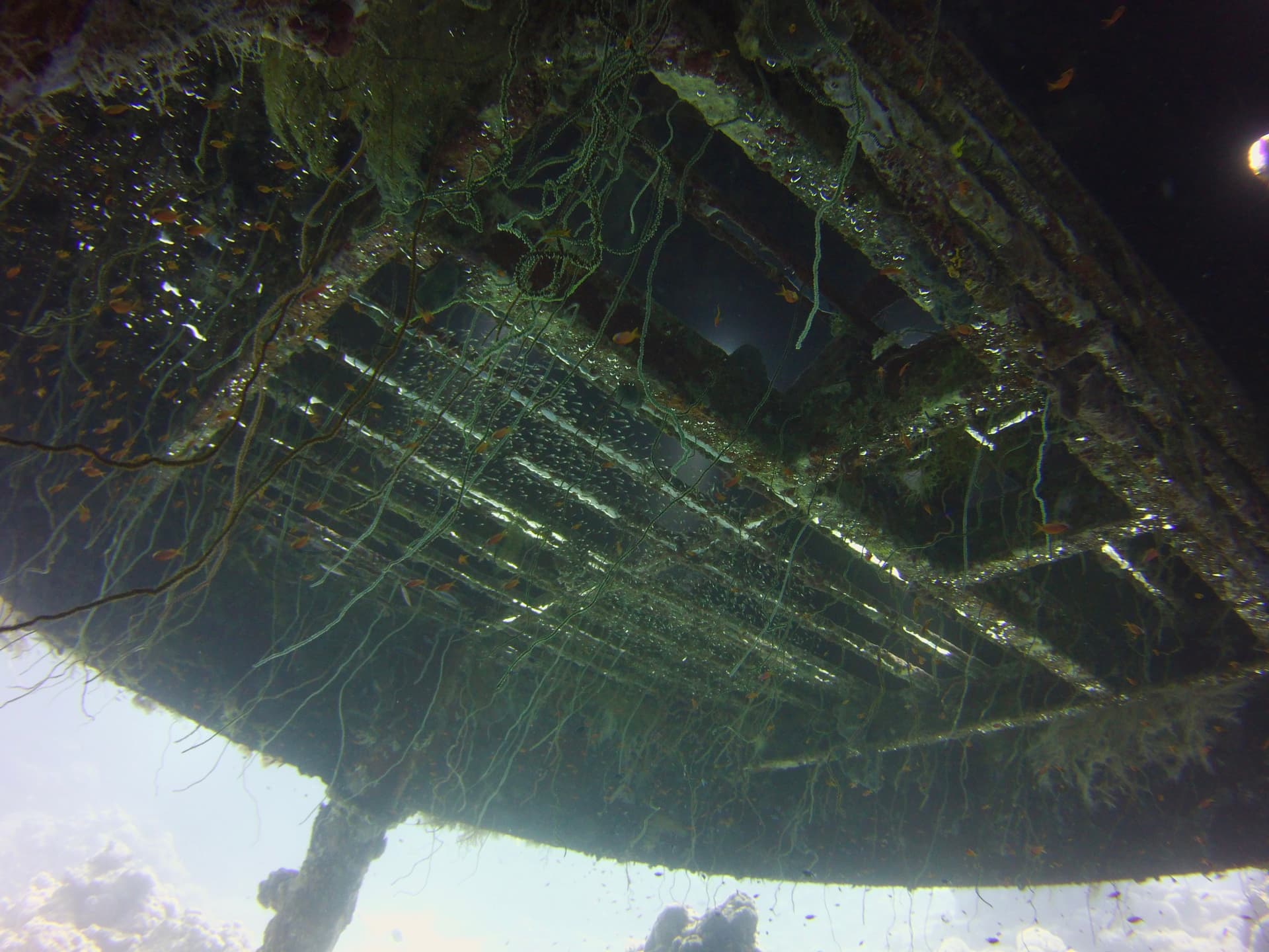 Underneath the Conshelf II hangar