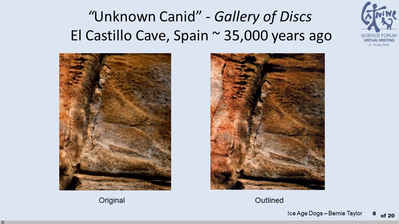 Cave Paintings of El Castillo