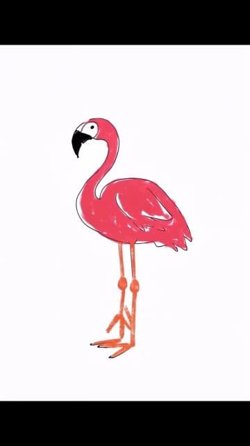 Flamingo Revolution (5 of 38)