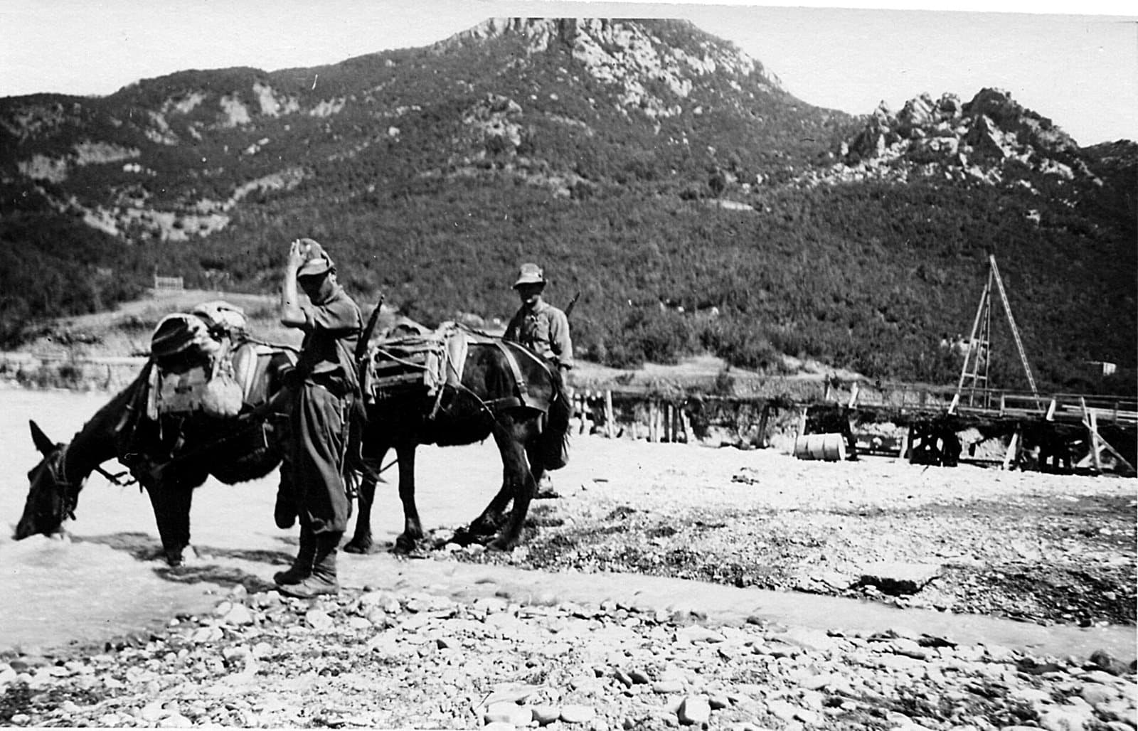 Watering horses on the Vjosa