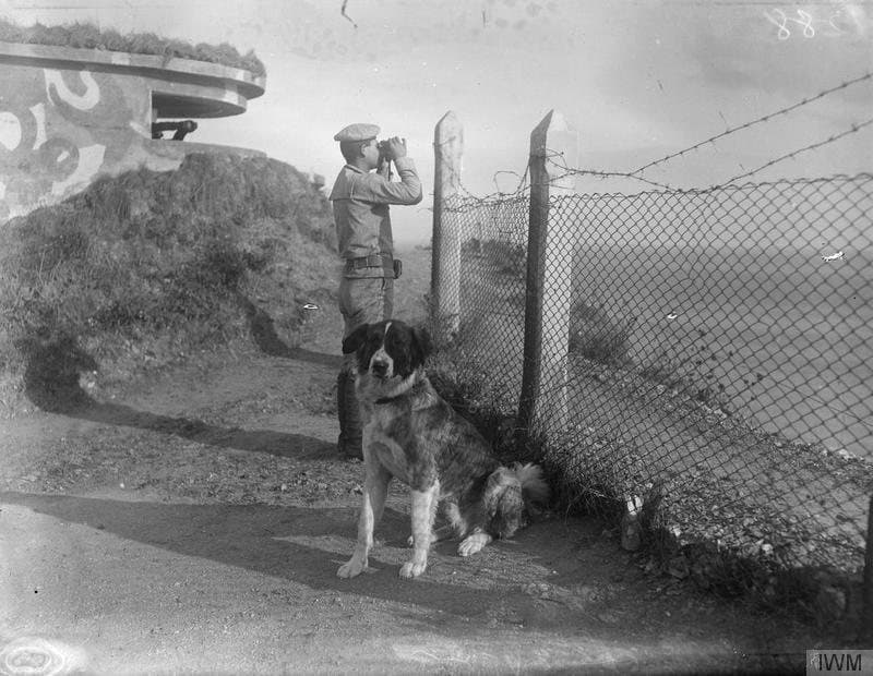 Italian coastguard and his dog on the Adriatic shore