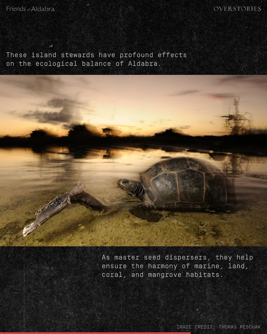 We need your help to stop construction on the Aldabra Islands. (5/7)