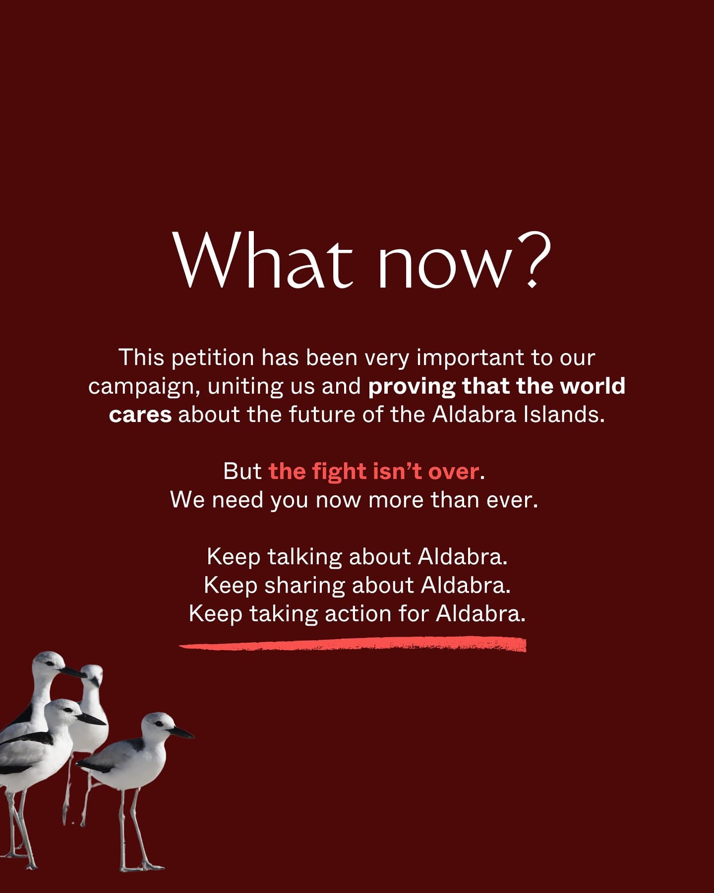 One year ago, we asked the world to care about Aldabra: a rare sanctuary, one of the… (7/9)