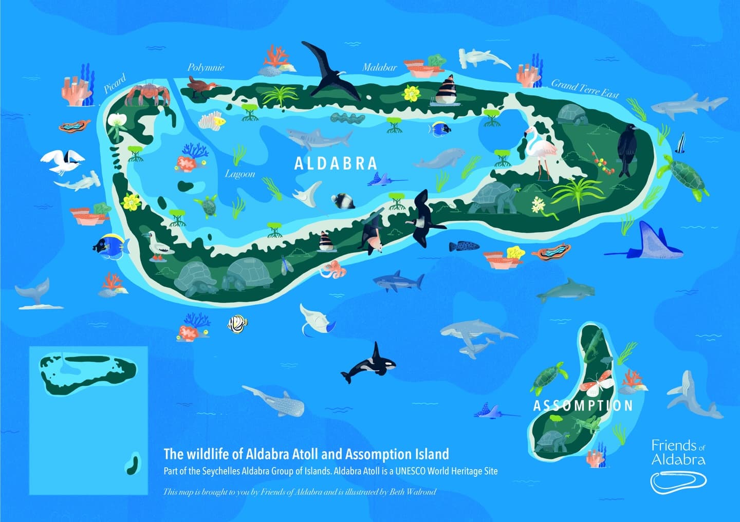 MAP REVEAL Over the past few months, we’ve been working with the talented to create… (1/9)
