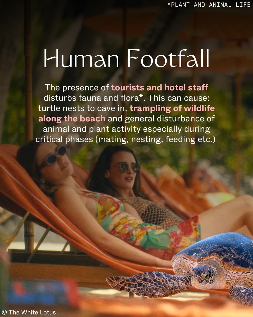 What does it take to run a 6* resort on a remote island? (3/8)