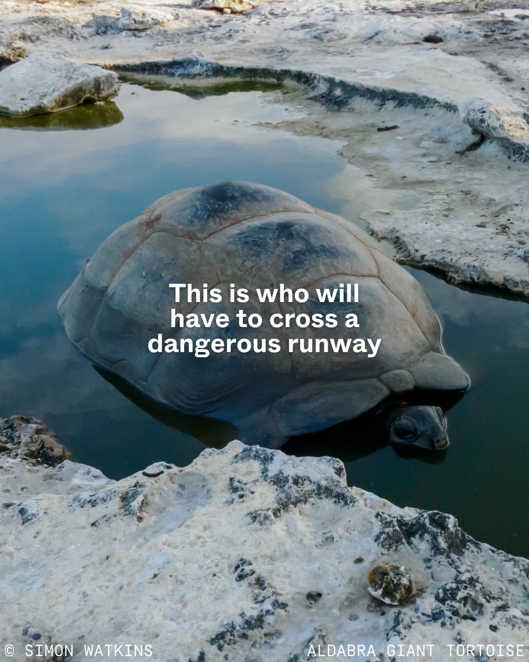 Nature isn’t just a backdrop for tourism development. (1/12)