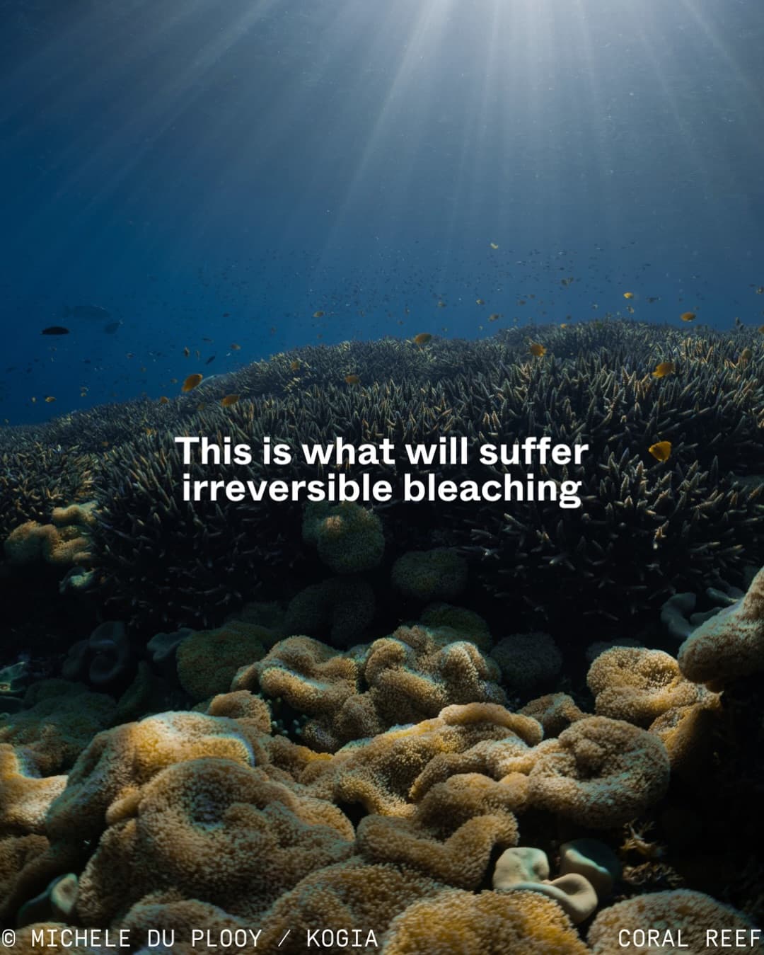 Nature isn’t just a backdrop for tourism development. (11/12)