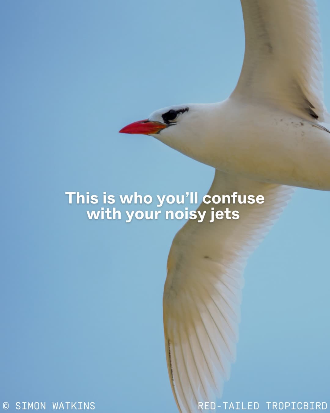Nature isn’t just a backdrop for tourism development. (2/12)