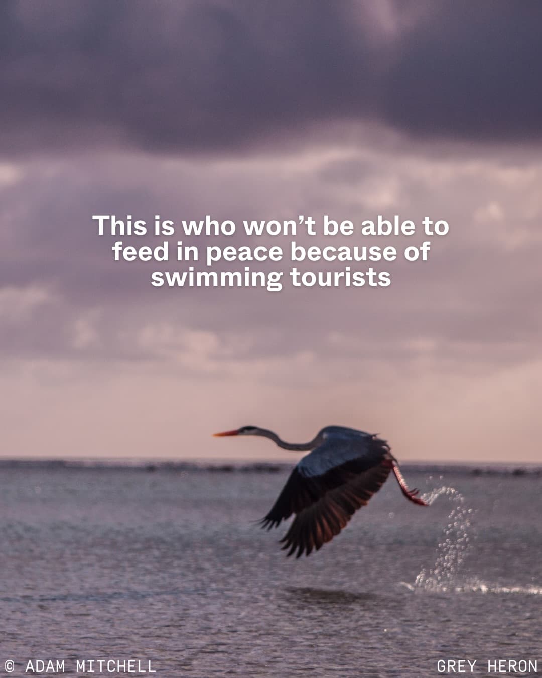 Nature isn’t just a backdrop for tourism development. (5/12)