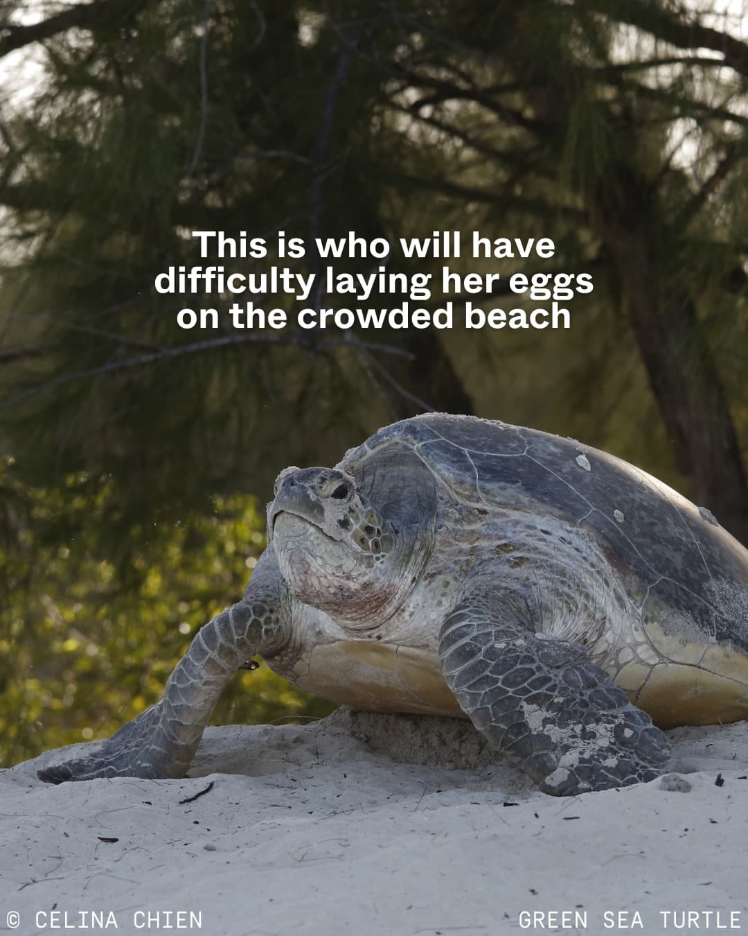 Nature isn’t just a backdrop for tourism development. (8/12)