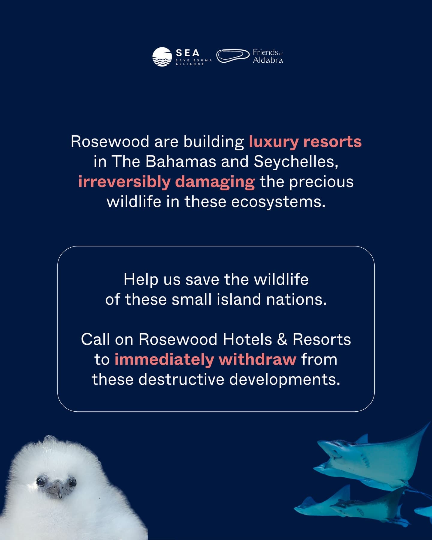 How would you define an “eco-resort”? (3/3)