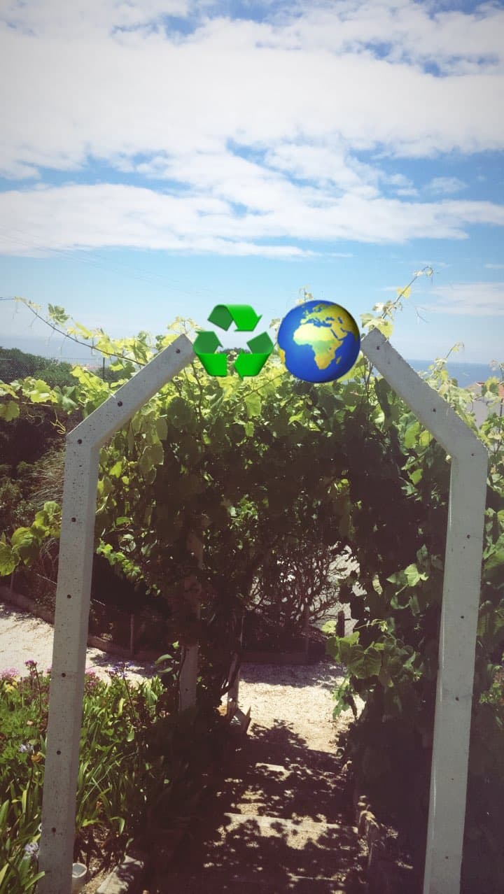 Recycle - 3 of 6