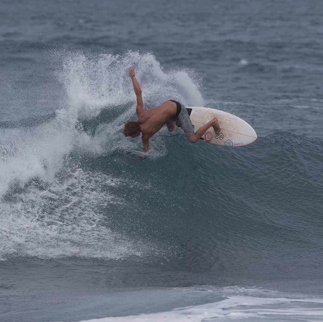 🌴Little sequence from the tropics 🌴 📷@friedenpete