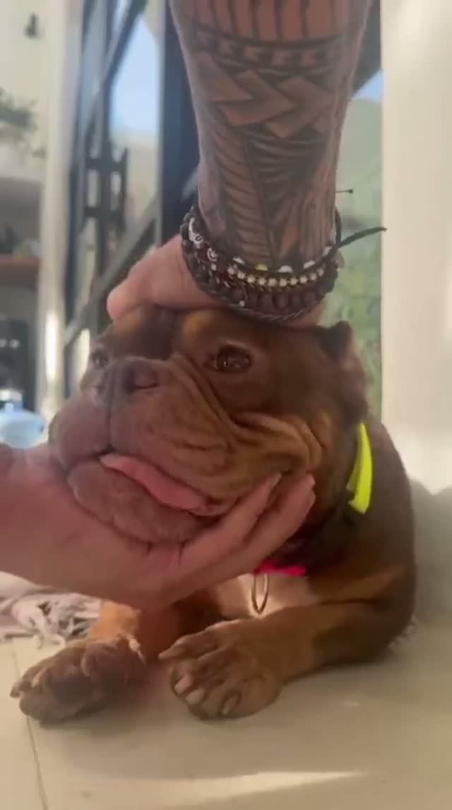 Bonbon - From hopeless and neglected to super spoiled