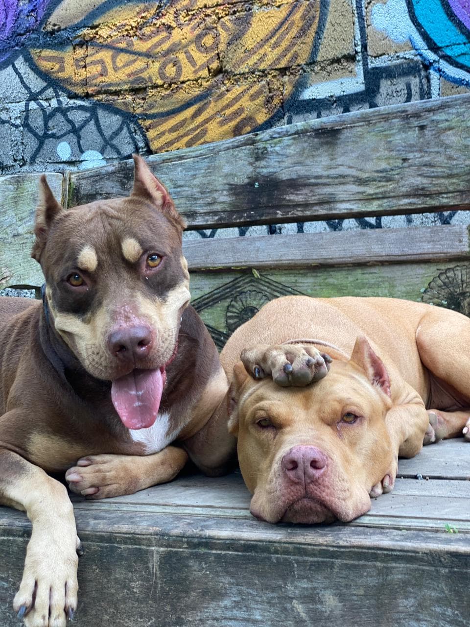 Chance & Pearl - Pearl from the streets to the sheets Chance from jail to freedom