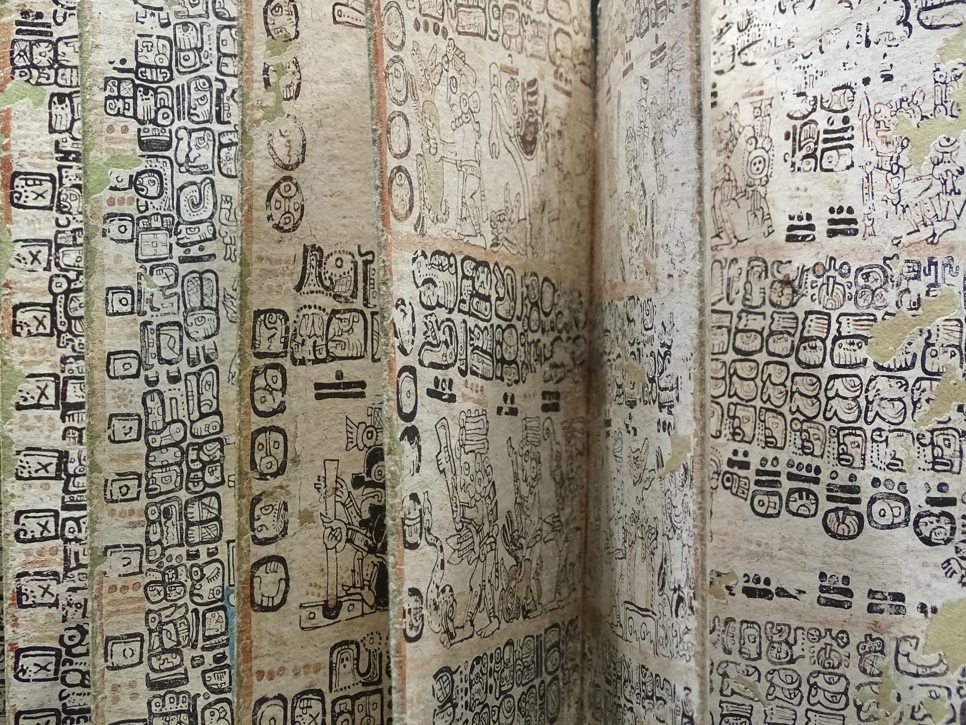 Detail of Maya Codex - Museum of Anthropology - Mexico City - Mexico