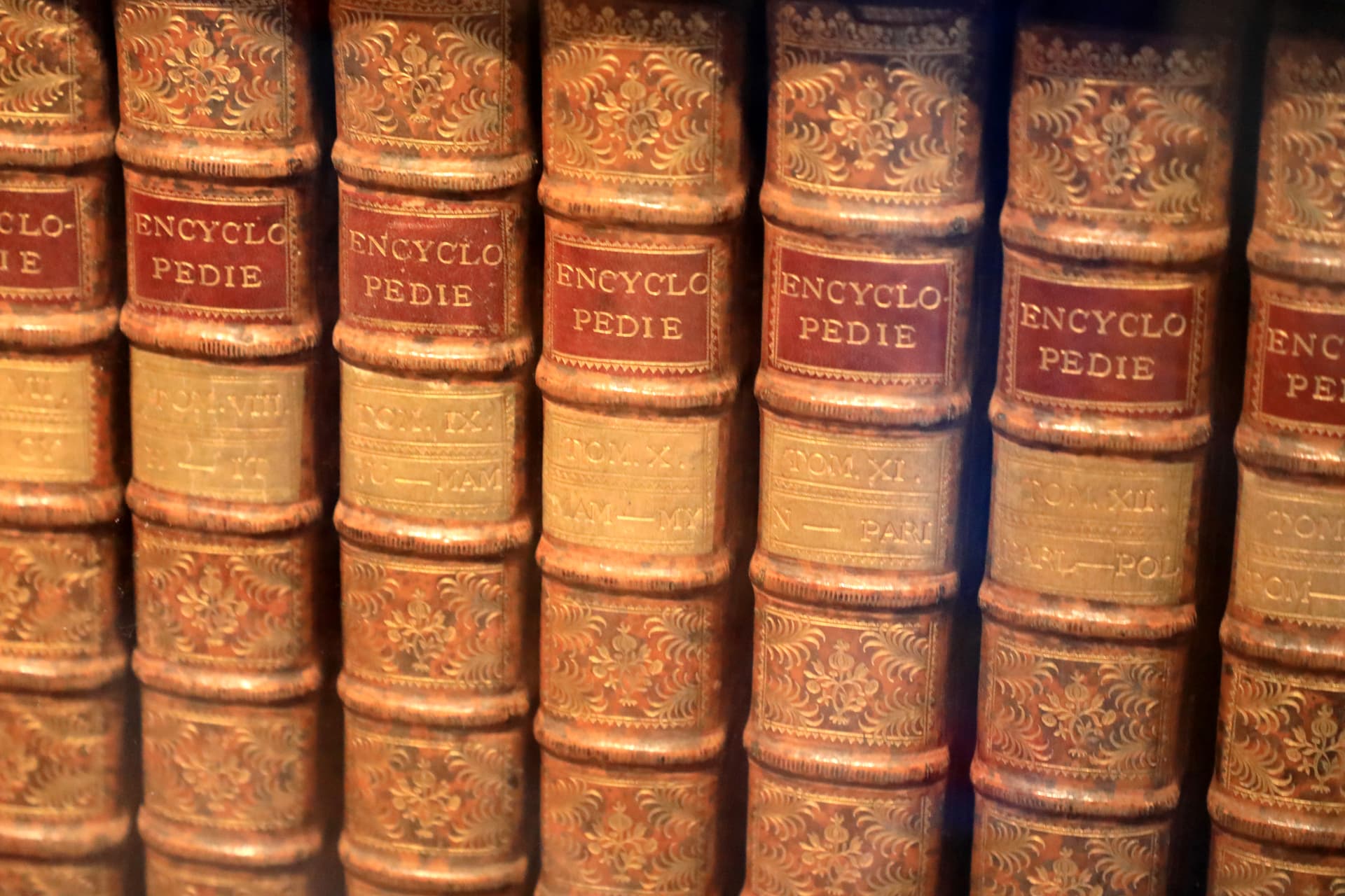 Encyclopédie de Diderot et d’Alembert (château de Menthon-Saint-Bernard)