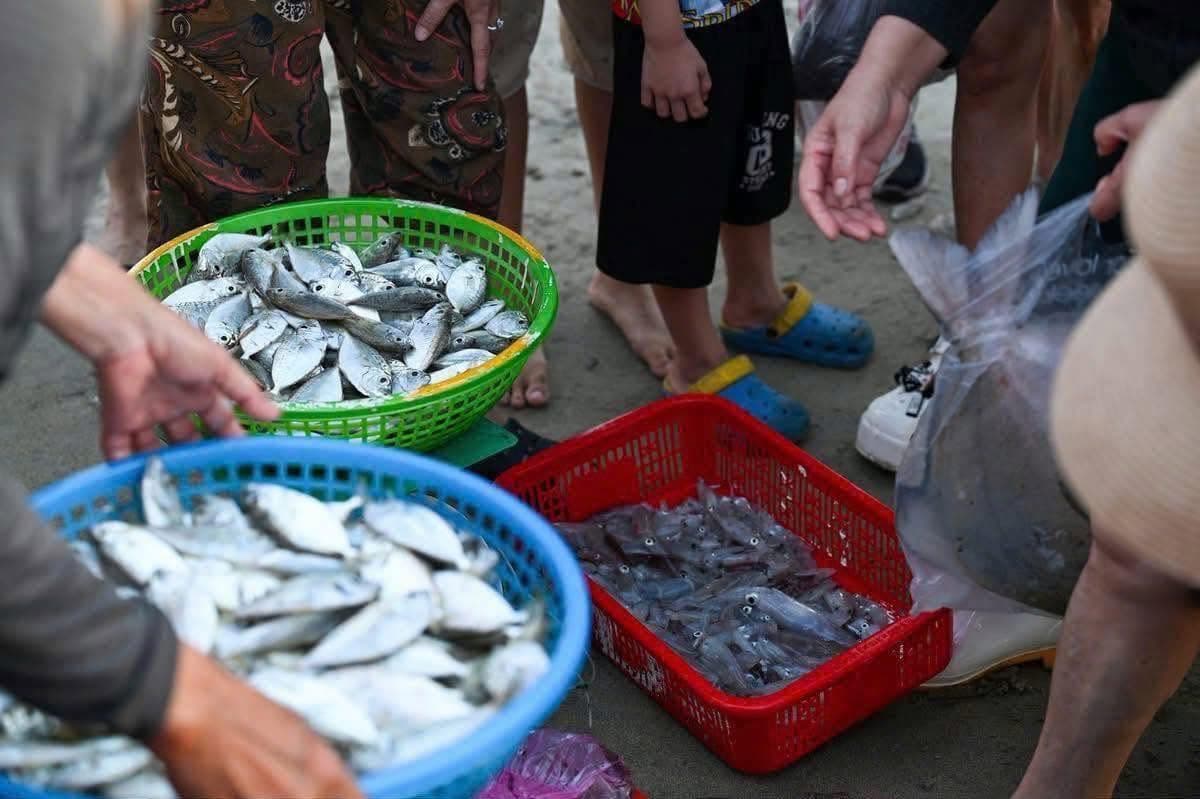 Bữa nhỏ nào kêu Đà Nẵng chán quá không có chi chơi thì nhanh rủ đó đi (4 of 4)