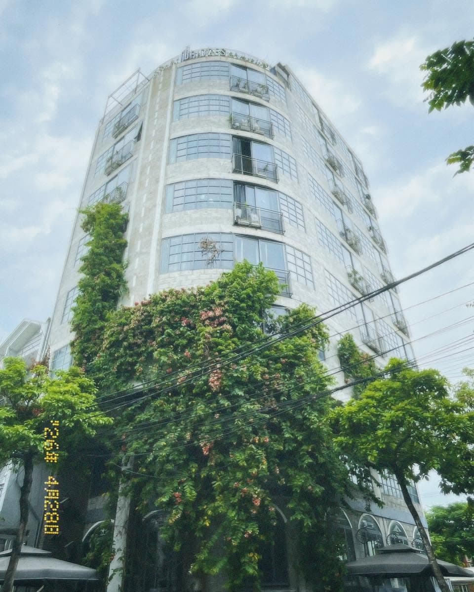 BẦU TRỜI ĐÀ NẴNG "HOÁ" ĐẠI DƯƠNG RỰC RỠ: LỄ HỘI THẢ DIỀU NGHỆ THUẬT ĐÃ (1 of 4)