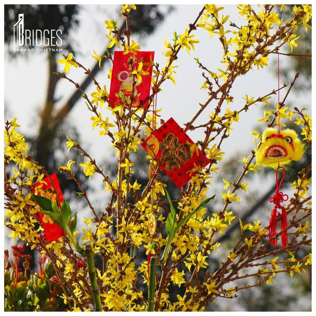 Tet Holiday - Vietnamese Lunar New Year is around the corner. (4 of 4)