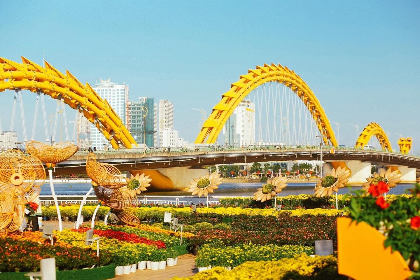 Thành phố Đà Nẵng rực rỡ hoa Tết Quý Mão 2023 (4 of 7)