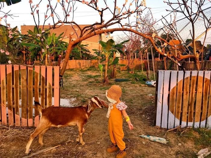 TOP 8 KID-FRIENDLY SPOTS IN DA NANG CITY (3 of 5)
