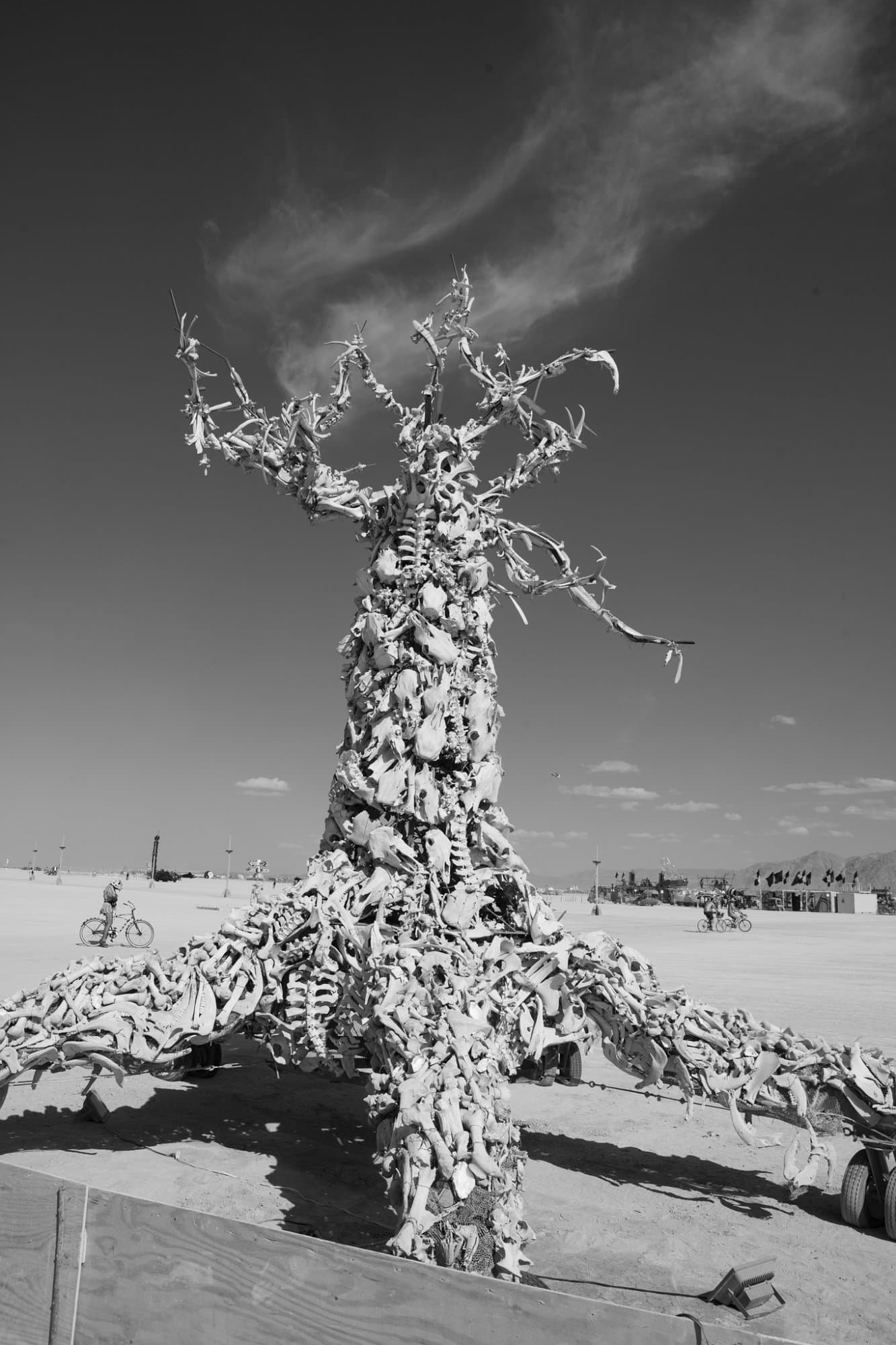 Playa art and art cars, 2014 · 1/20