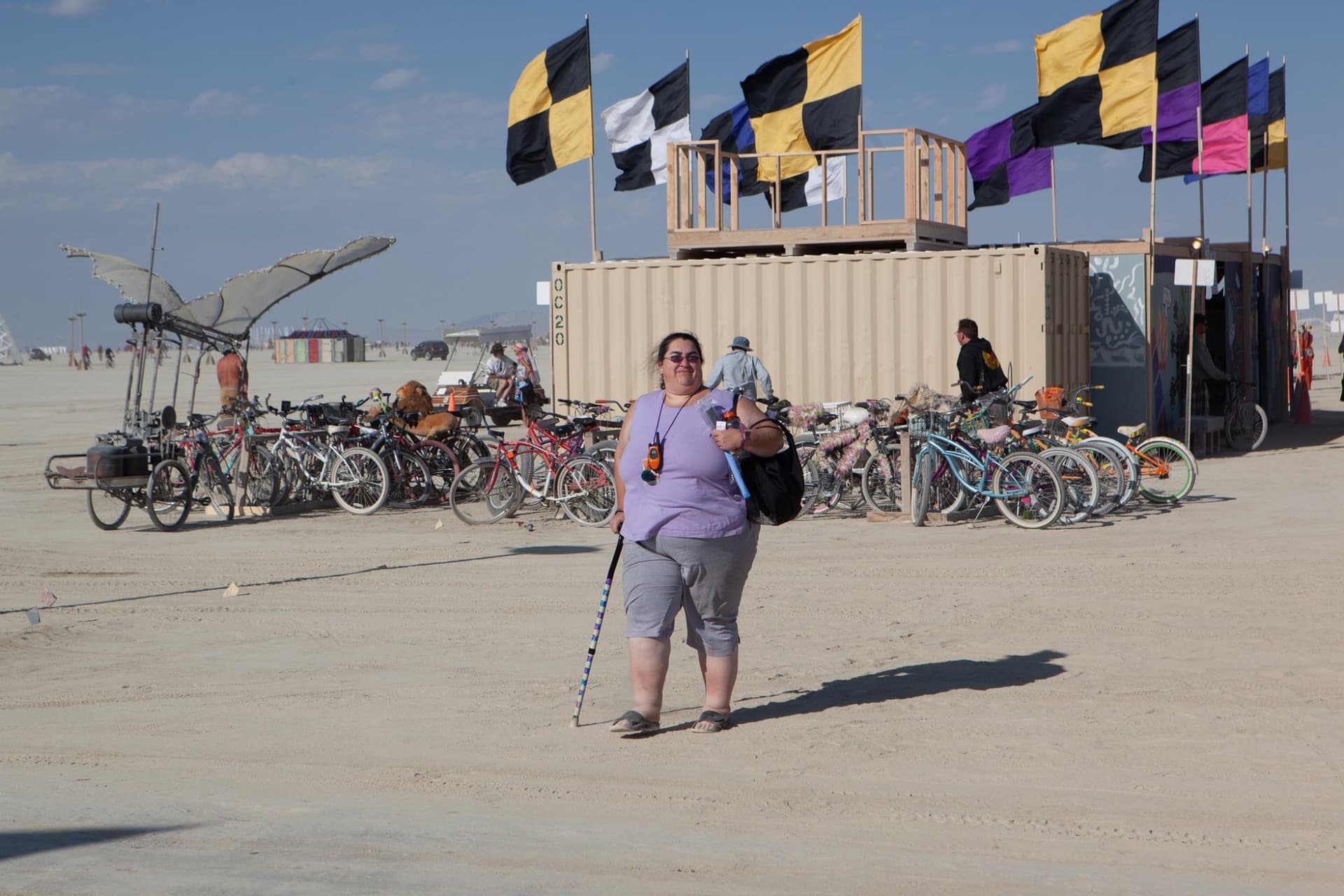 The art-car fleet, day · 12/20