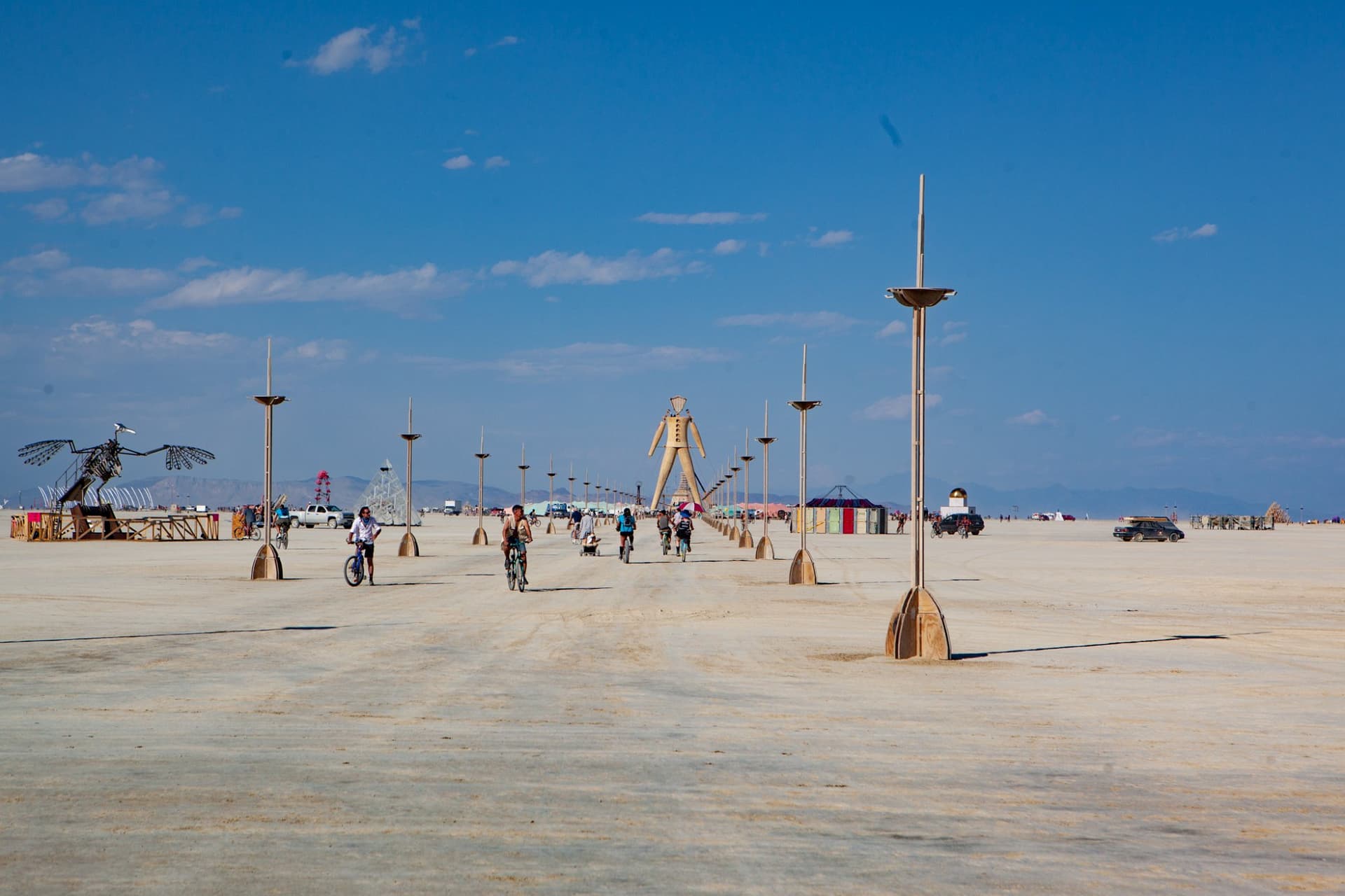 The art-car fleet, day · 13/20