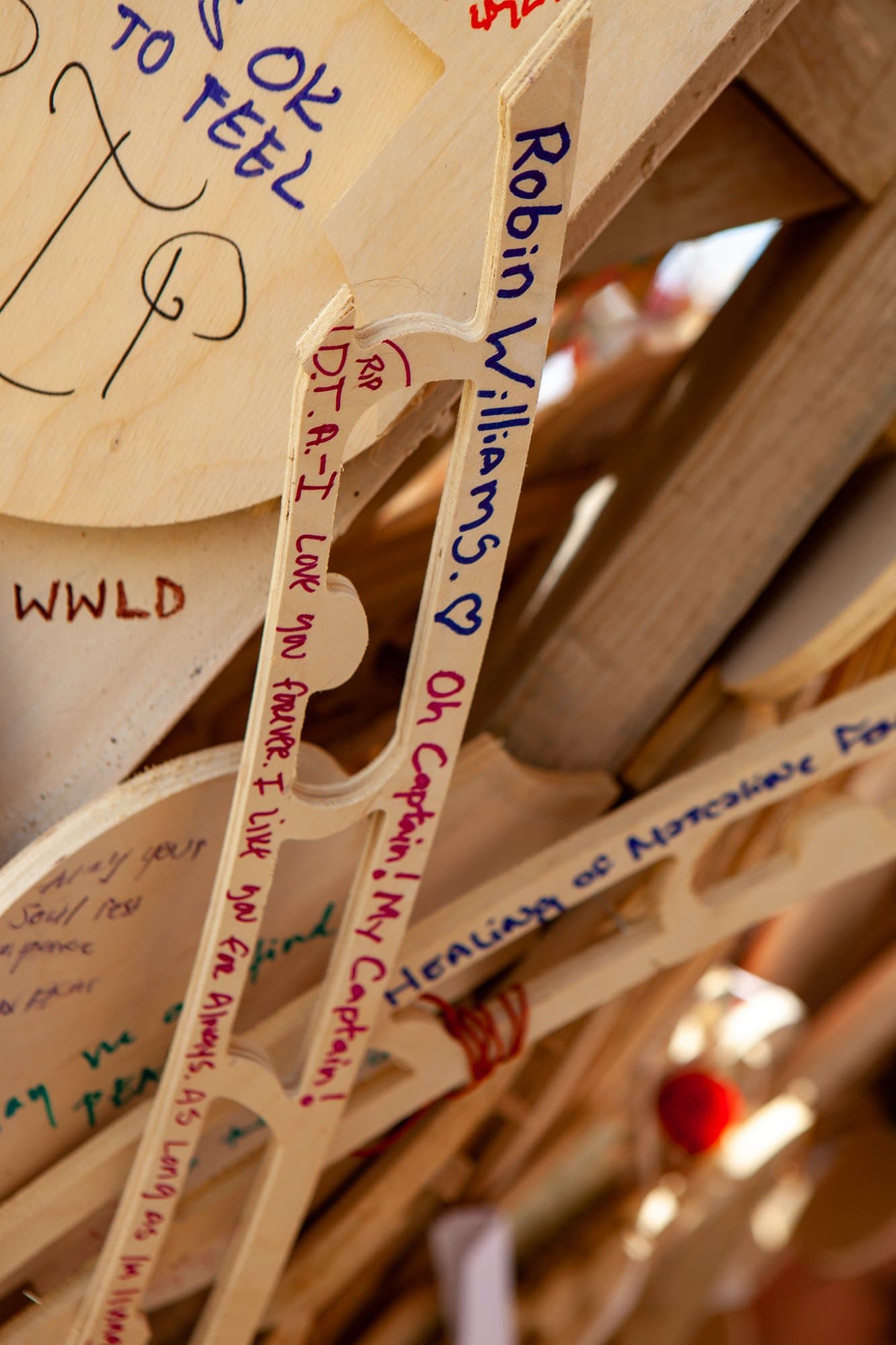 Camp and art, the last days 2014 · 6/20