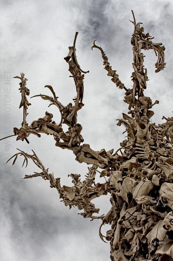 Bone Tree Sculpture Against Overcast Sky
