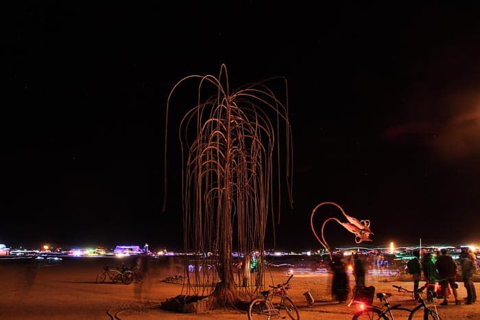 Fire Garden Willow Tree at Night
