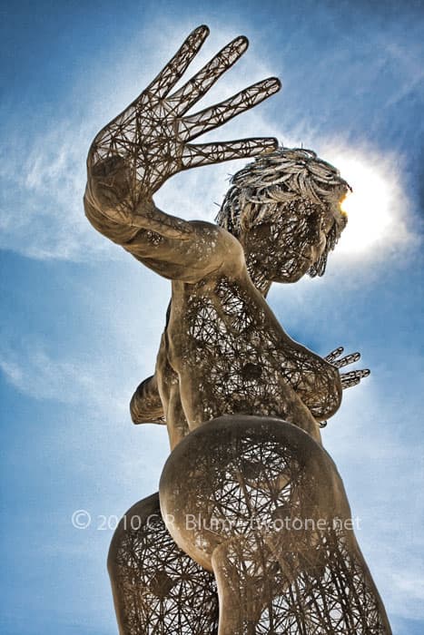 Bliss Dance Backlit by the Sun