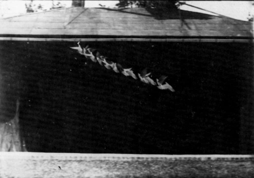 Marey's chronophotography (1882) (3 of 4)