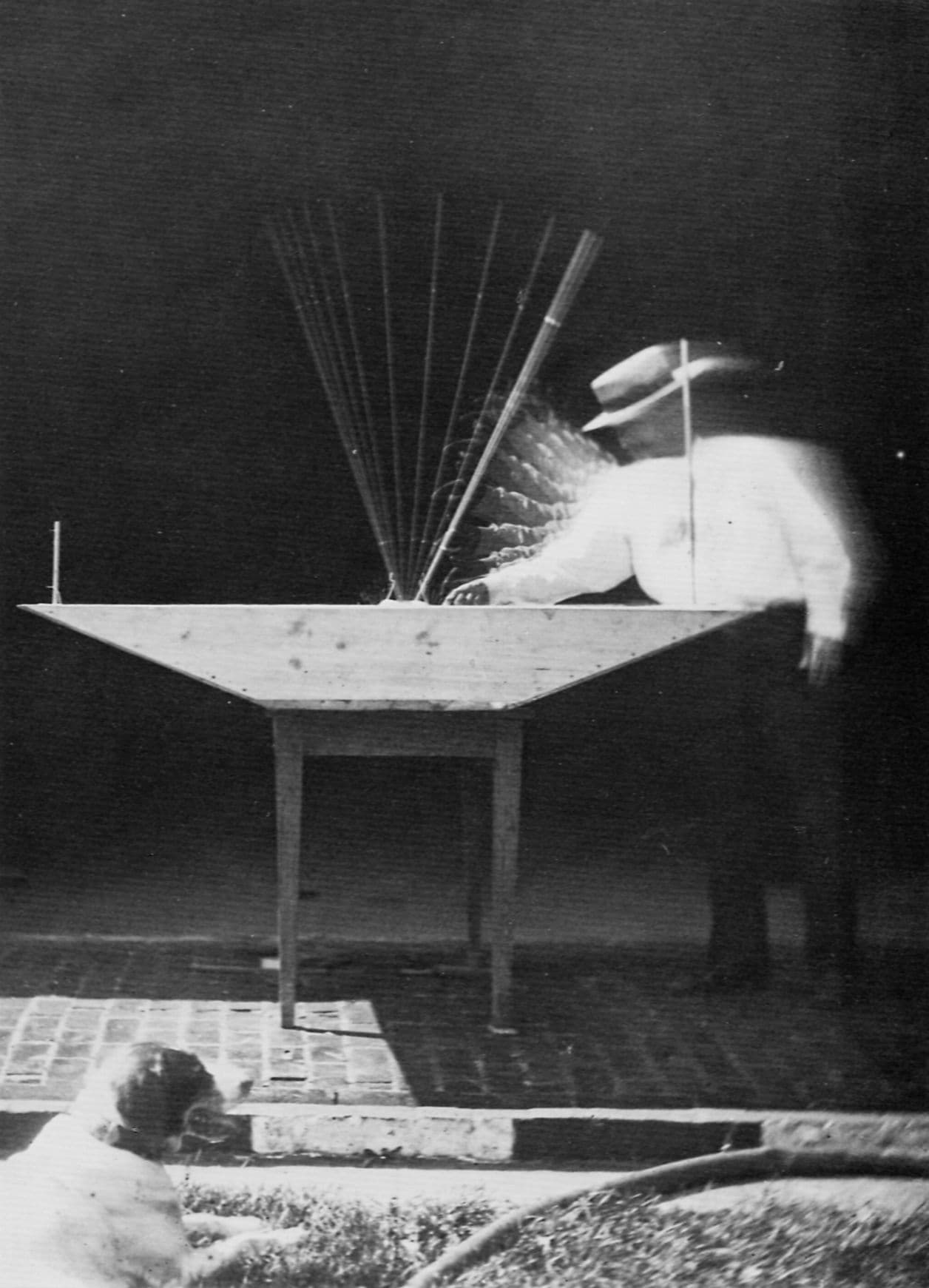 Marey's chronophotography (1882) (4 of 4)