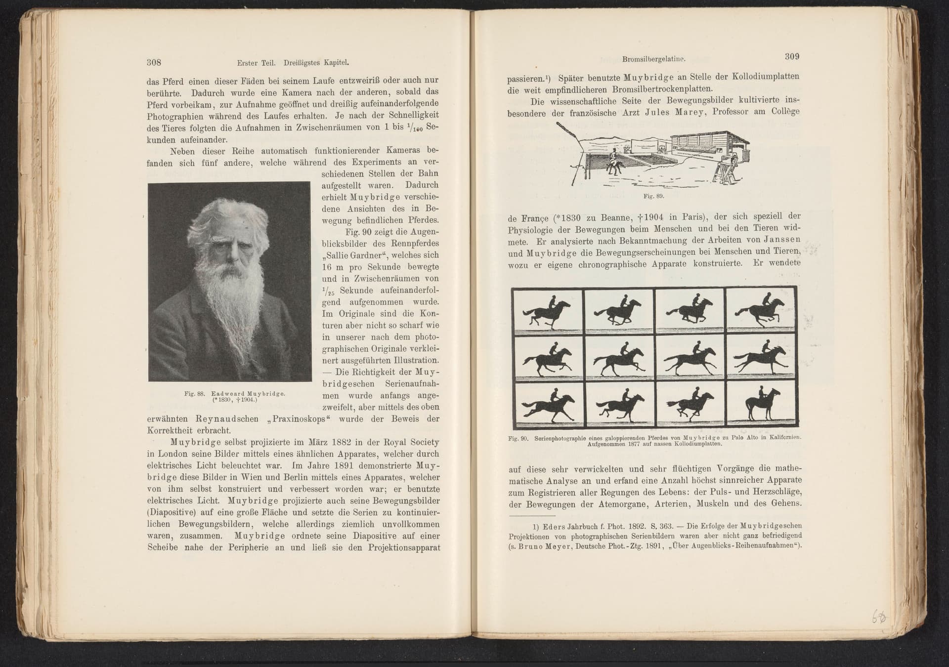 Muybridge's galloping horse (1878) (1878) (3 of 4)