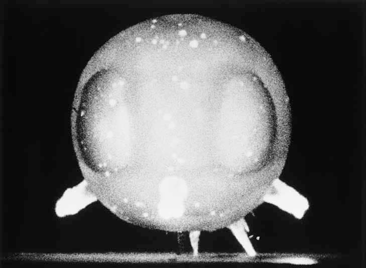 Edgerton's high-speed photos (1957) (3 of 4)