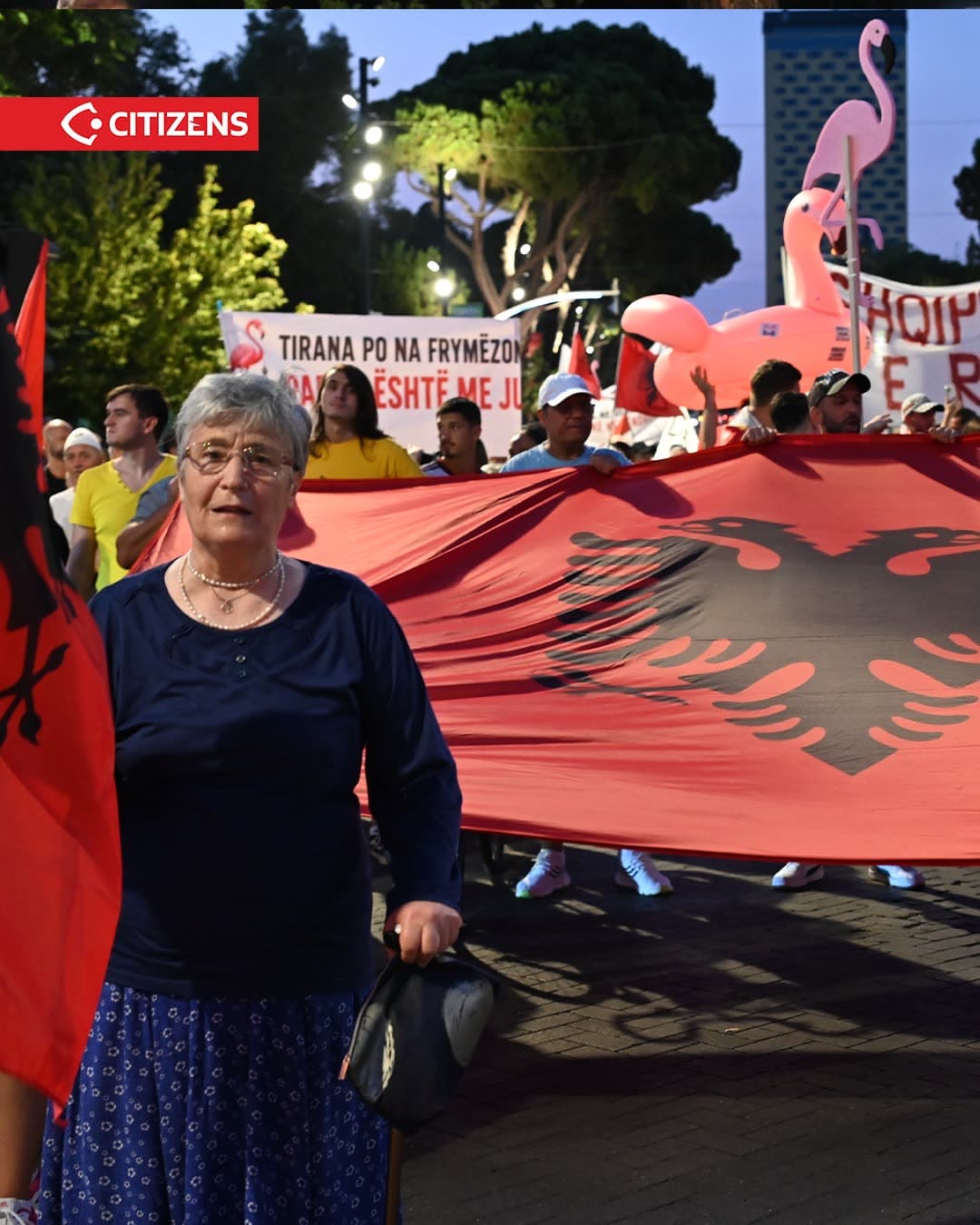 Në ditën e 77-të të protestës, diaspora iu bashkua protestuesve në bulevard,… (frame 3)
