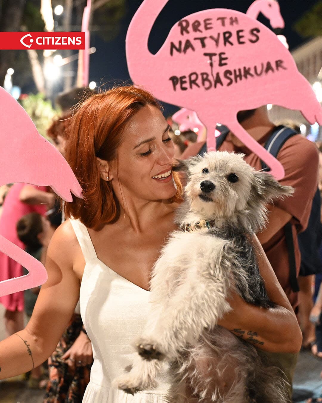 Dita e 80-të i gjeti sërish protestuesit para Kryeministrisë, aty ku janë… (frame 3)