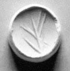 Stamp seal (scaraboid with pointed top) with plant