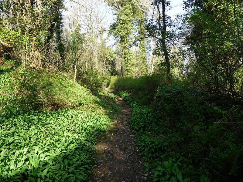 Millennium Way, north of Ballasalla