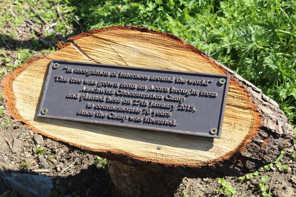 Auschwitz Tree sign