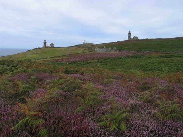 Lighthouses, foghorn & tholtan (derelict building), Calf of Man