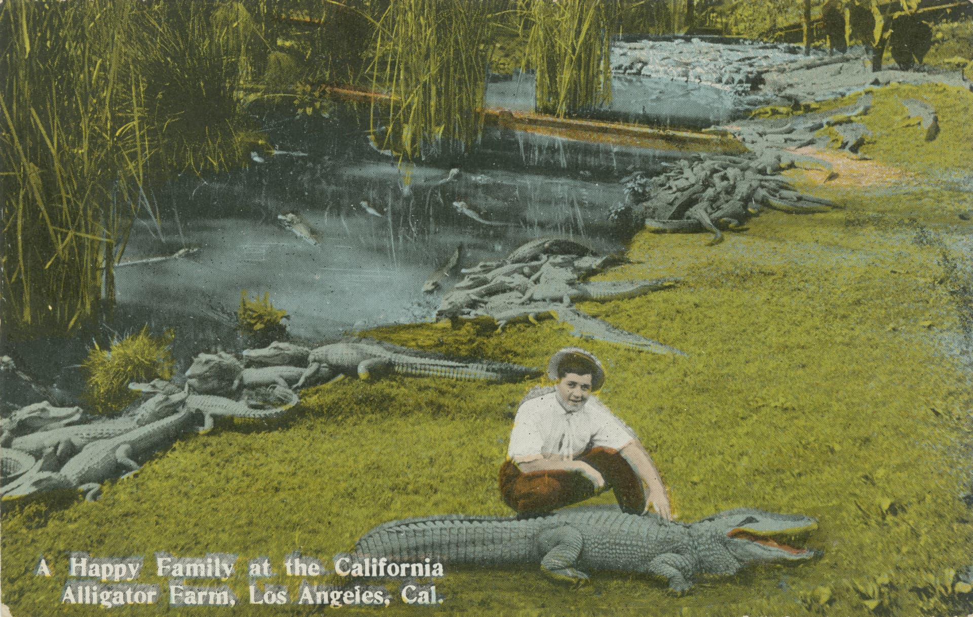 A Happy Family at the California Alligator Farm, Los Angeles, Cal (clloy 042)