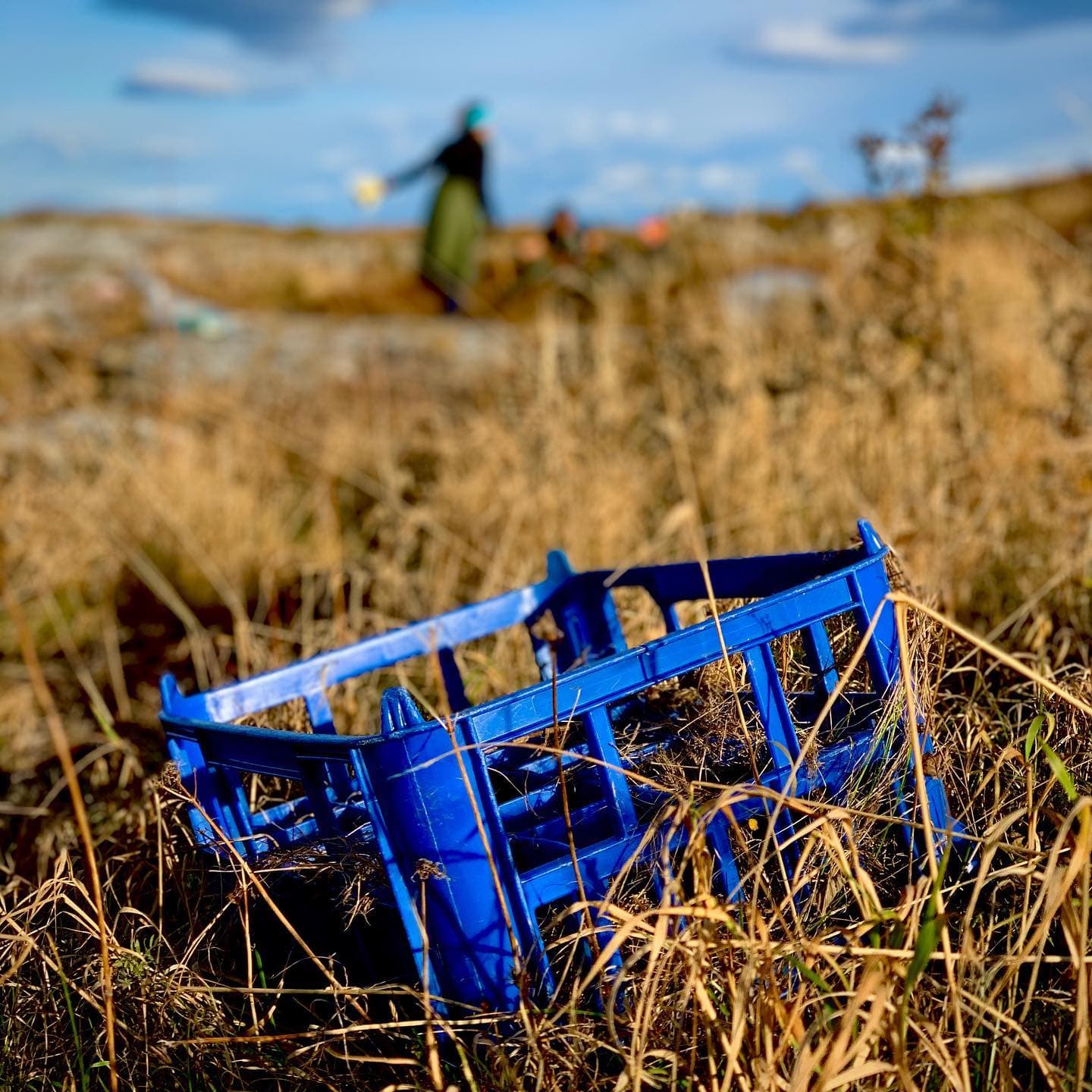 The colours of the autumn are here, and the plastics blend in just…