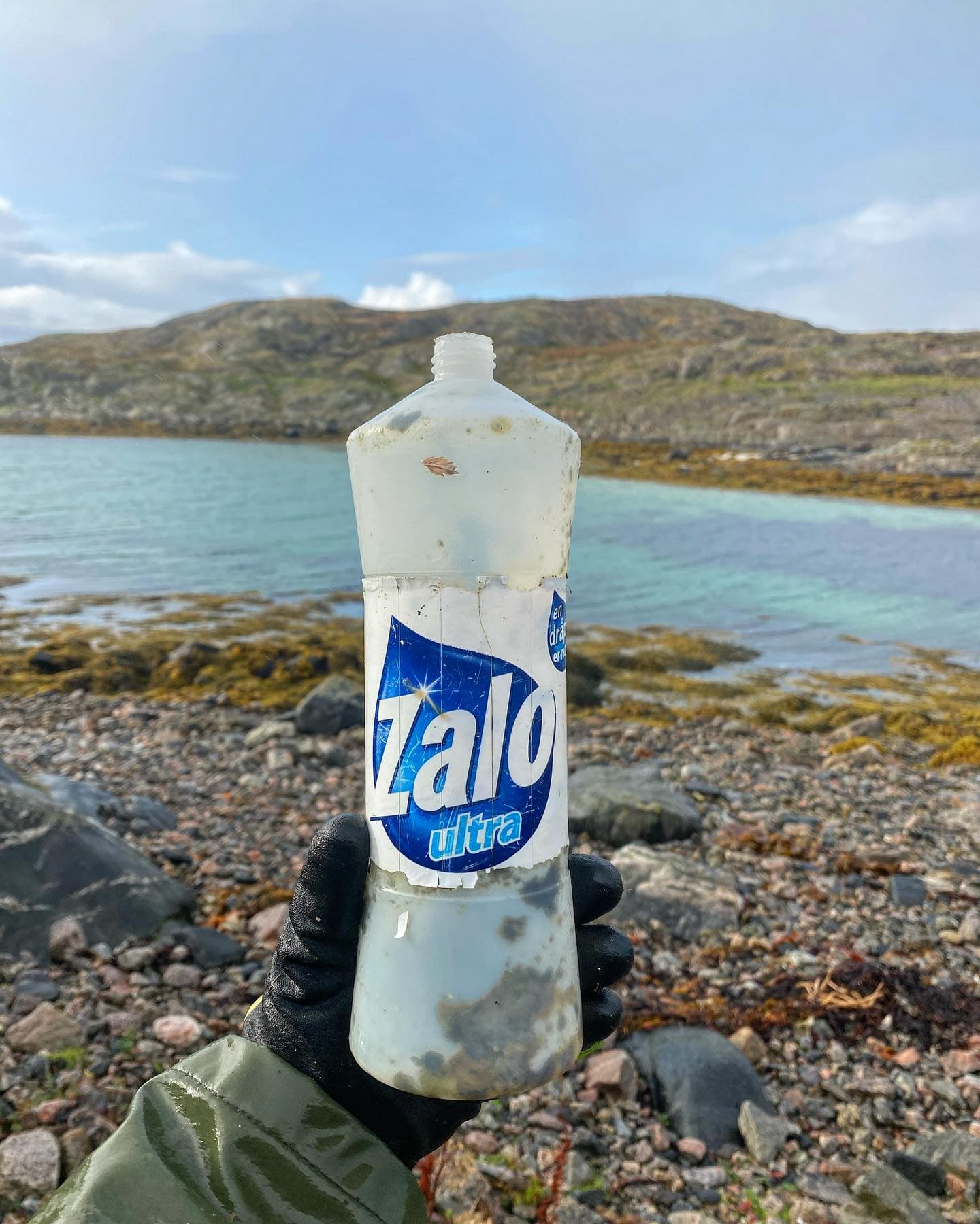 Have you ever wondered what we find when we pick along the Norwegian…