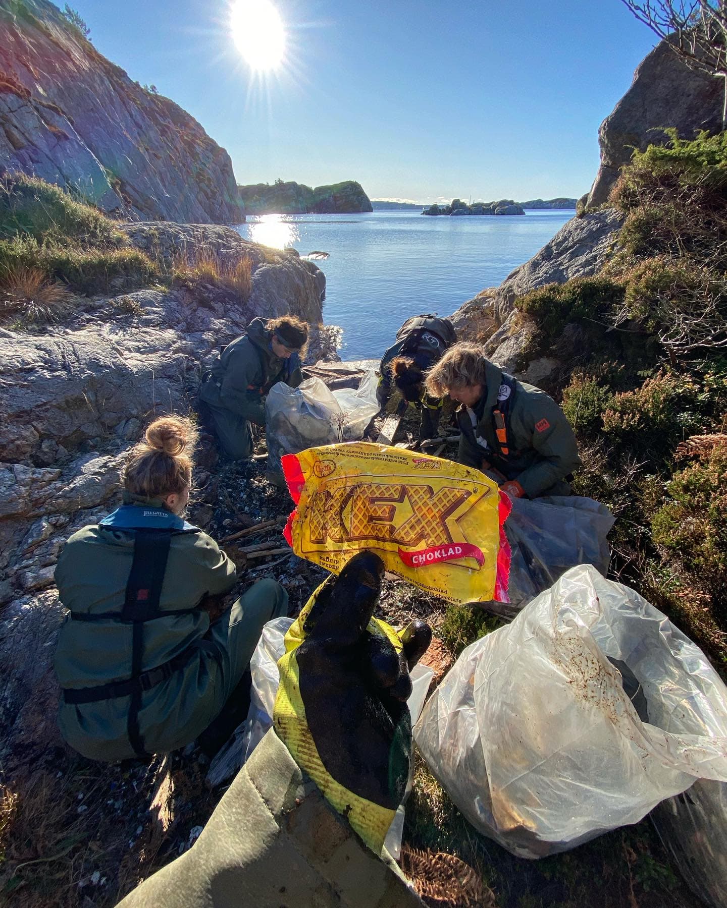 What do we find when out picking marine litter?
