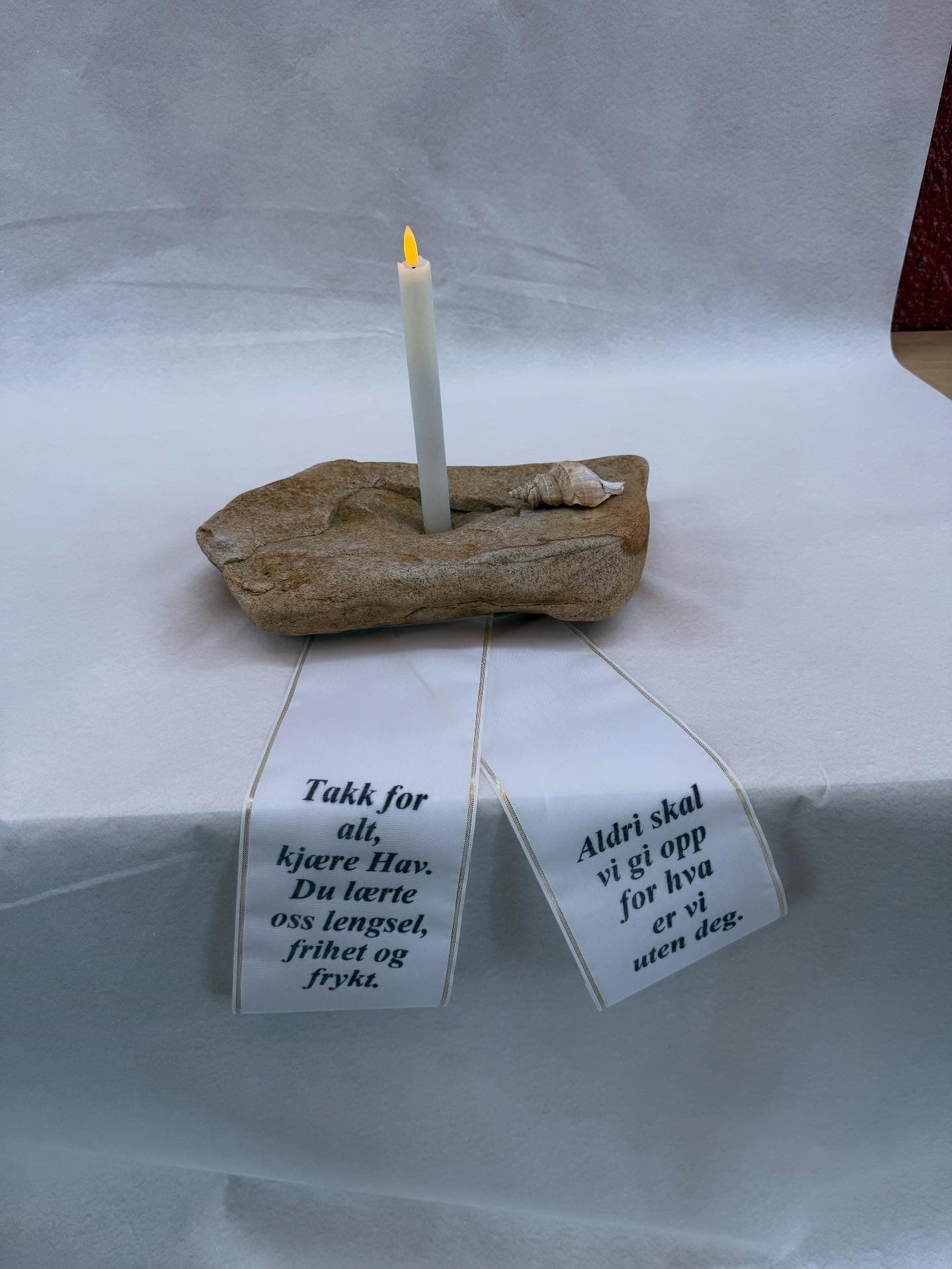 I sentrum av økosystemet» med Arne Pedersen, Frihet i havet med…